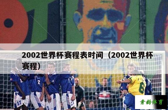2002到2022世界杯，世界杯出线2002