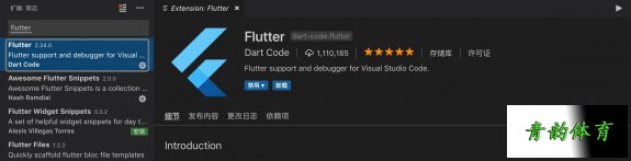 Flutter中文化包介绍，flutter中文网