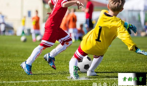 为什么不建议小孩子踢足球，为什么不建议小孩子踢足球搜狐视频