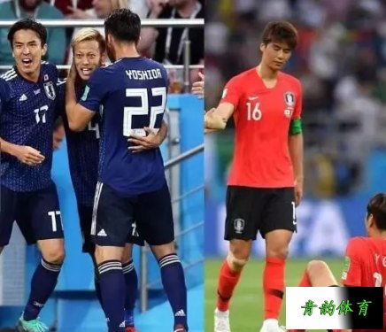 韩日世界杯亚洲耻辱，韩日世界杯争议
